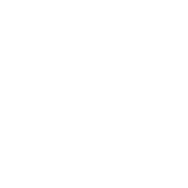 Logo feel Ñuñoa
